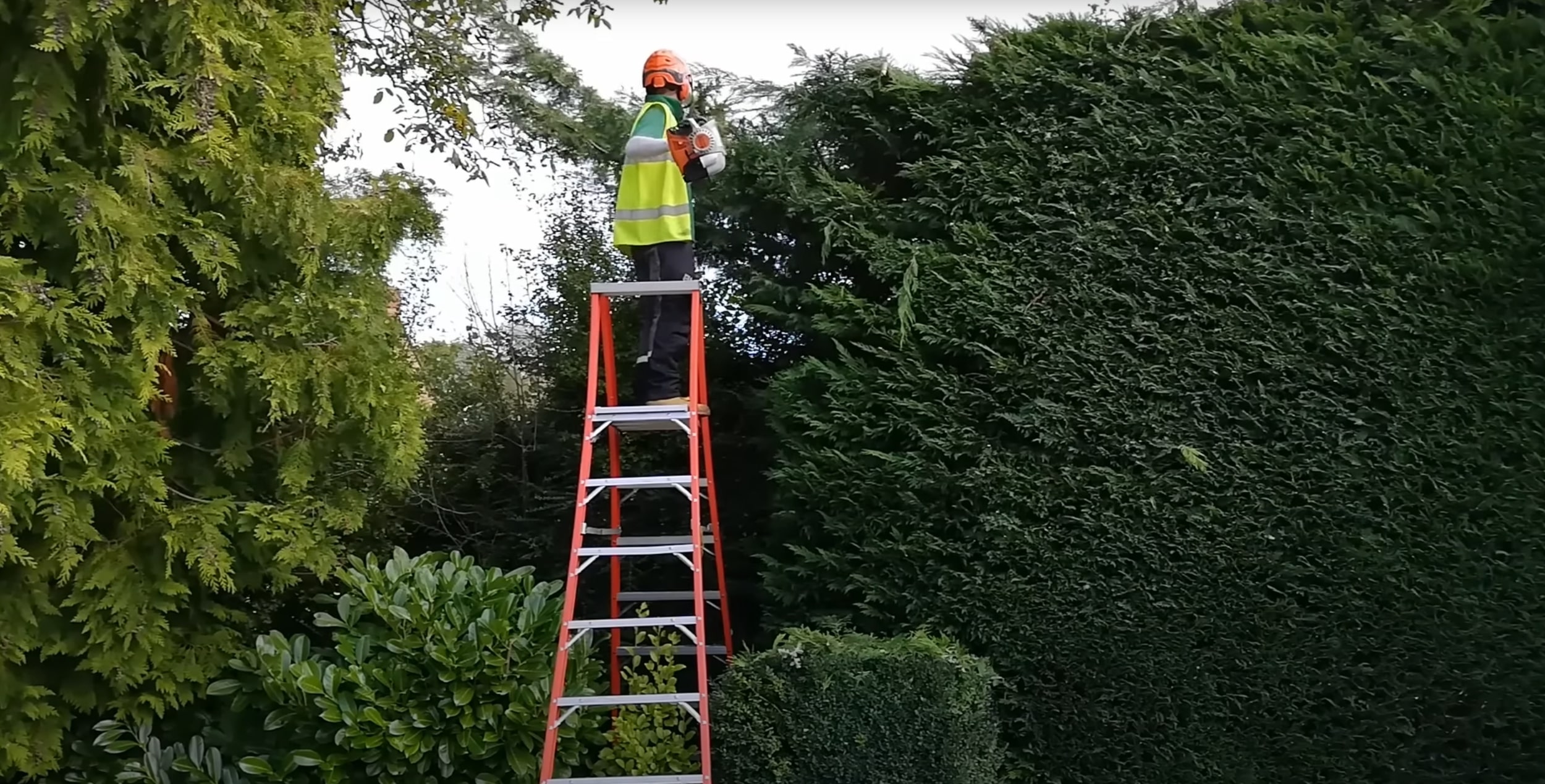 Tree Trimming & Pruning service in Danville, VA